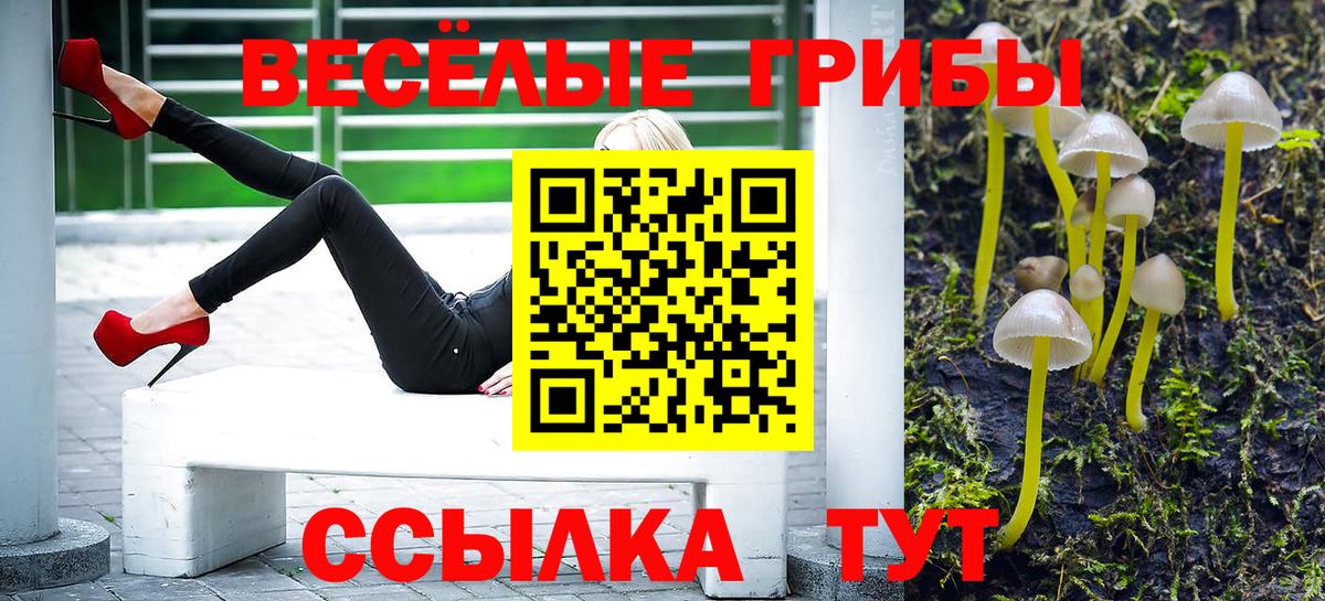 Нижний Тагил  Псилоцибиновые грибы Magic Shrooms  Вход с VPN  Псилоцибиновые грибы ЛСД 