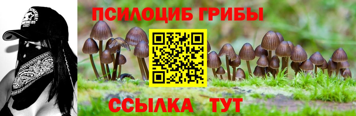 Галлюциногенные грибы мухоморы Нижний Тагил